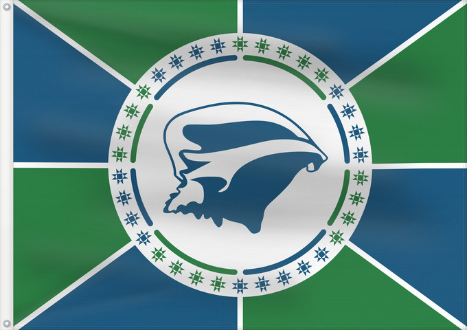Drapeau, avec deux œillets métalliques et guindant renforcé : Territorial Collectivity of Martinique	Martinique from May 2019 to November 2021	Adopté par la collectivité territoriale de Martinique en mai 2019, nommé  Ipséité	Colectividad Territorial de Martinica (mayo 2019–noviembre 2021)	Territoriale Gebietskörpers