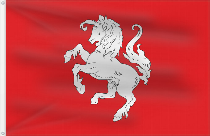 Drapeau, avec deux œillets métalliques et guindant renforcé : Twente Twenthe Netherlands Twenthe