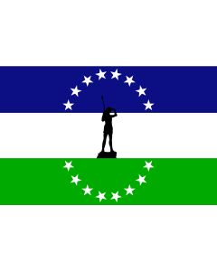 Flag: Rio negro no oficial | Usada extraoficialmente en la provincia de rio negro |  landscape flag | 1.35m² | 14.5sqft | 90x150cm | 3x5ft 
