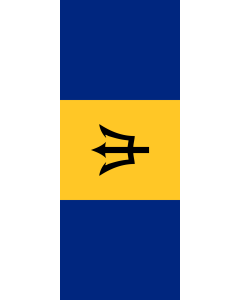 Bandera: Bandera vertical con manga cerrada para potencia Barbados |  bandera vertical | 3.5m² | 300x120cm 
