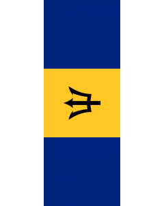 Flag: Barbados |  portrait flag | 6m² | 64sqft | 400x150cm | 13x5ft 