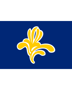Flag: Brussels |  landscape flag | 0.06m² | 0.65sqft | 20x30cm | 8x12in 