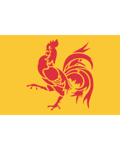 Flag: Wallonia (Walloon Region) |  landscape flag | 0.06m² | 0.65sqft | 20x30cm | 8x12in 