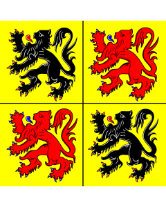 Flag: Hainaut |  0.06m² | 0.65sqft | 25x25cm | 10x10inch 