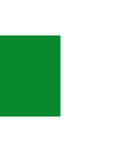 Flag: Belgian municipality of Court-Saint-Étienne |  landscape flag | 1.35m² | 14.5sqft | 90x150cm | 3x5ft 