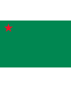 Flagge: XL Benin  1975–1990  |  Querformat Fahne | 2.16m² | 120x180cm 