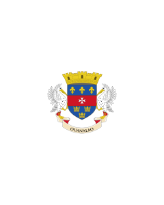 Drapeau: bannière drapau avec tunnel sans crochets Saint-Barthélemy | portrait flag | 3.5m² | 300x120cm