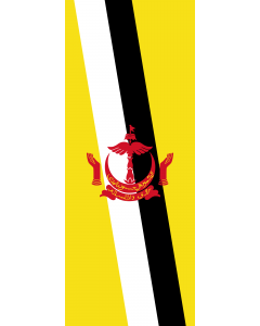 Flag: Brunei Darussalam |  portrait flag | 3.5m² | 38sqft | 300x120cm | 10x4ft 