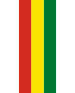 Bandera: Bandera vertical con manga cerrada para potencia Bolivia |  bandera vertical | 3.5m² | 300x120cm 