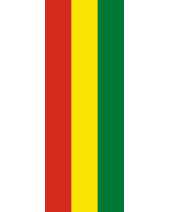 Bandera: Bandera vertical con manga cerrada para potencia Bolivia |  bandera vertical | 6m² | 400x150cm 