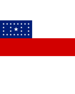 Flag: Amazonas |  landscape flag | 0.06m² | 0.65sqft | 20x30cm | 8x12in 