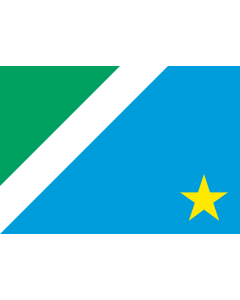 Flag: Mato Grosso do Sul |  landscape flag | 0.06m² | 0.65sqft | 20x30cm | 8x12in 