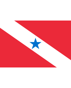 Flag: Pará |  landscape flag | 0.06m² | 0.65sqft | 20x30cm | 8x12in 