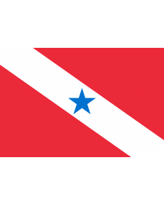 Flag: Pará |  landscape flag | 0.96m² | 10sqft | 80x120cm | 2.5x4ft 