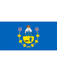 Flag: Commissioner of Nunavut |  landscape flag | 2.16m² | 23sqft | 100x200cm | 40x80inch 