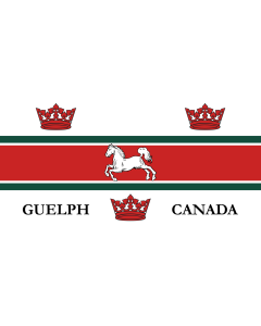 Flag: City of Guelph, Ontario, Canada |  landscape flag | 0.06m² | 0.65sqft | 17x34cm | 7x14inch 