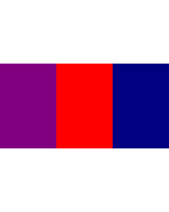 Flag: Ottawa between 1902 and 1987 |  landscape flag | 1.35m² | 14.5sqft | 80x160cm | 30x60inch 