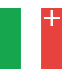 Flag: Neuchâtel |  0.06m² | 0.65sqft | 25x25cm | 10x10inch 