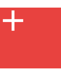 Flag: Schwyz |  0.06m² | 0.65sqft | 25x25cm | 10x10inch 