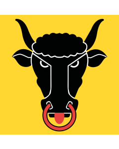 Flagge: XXS Uri  |  Fahne 0.24m² | 50x50cm 