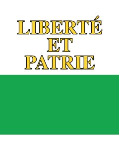 Flagge: XS Vaud   |  Fahne 0.375m² | 60x60cm 