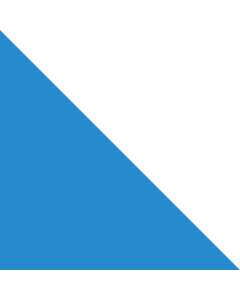 Flag: Canton of Zürich |  0.06m² | 0.65sqft | 25x25cm | 10x10inch 