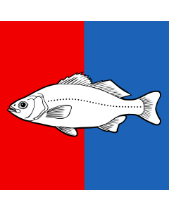 Flagge: XL CHE Nyon | Swiss city Nyon | Miasta Nyon w Szwajcarii  |  Fahne 2.16m² | 150x150cm 