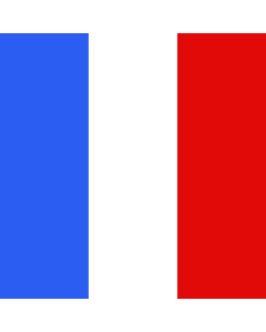 Flagge: Large Gelterkinden | Swiss municipality of Gelterkinden | Commune suisse de Gelterkinden, du canton de Bâle  |  Fahne 1.35m² | 120x120cm 