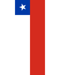 Vertical Hanging Beam Flag: Chile |  portrait flag | 3.5m² | 38sqft | 300x120cm | 10x4ft 