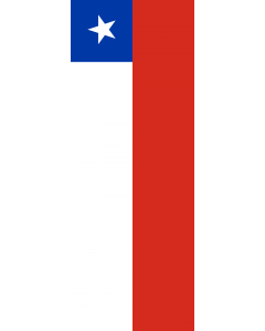 Bandera: Chile |  bandera vertical | 6m² | 400x150cm 