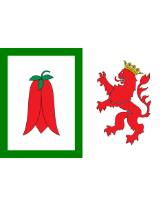 Bandera de  Arauco, Chile |  bandera horizontal | 2.16m² | 120x180cm 