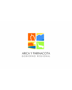 Flag: Arica y Parinacota Region, Chile |  landscape flag | 1.35m² | 14.5sqft | 90x150cm | 3x5ft 
