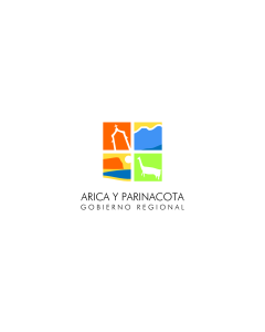 Drapeau: Arica y Parinacota, Chile | Arica y Parinacota Region, Chile | XV Región de Arica y Parinacota, Chile |  drapeau paysage | 2.16m² | 120x180cm 