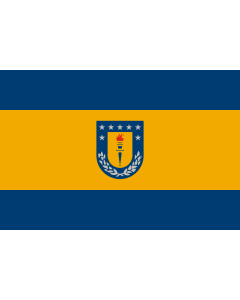 Flag: University of Concepción, Chile |  landscape flag | 1.35m² | 14.5sqft | 90x150cm | 3x5ft 