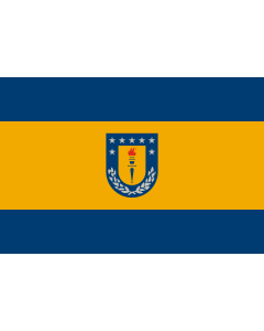 Flag: University of Concepción, Chile |  landscape flag | 1.35m² | 14.5sqft | 90x150cm | 3x5ft 