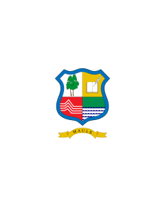 Flagge: Large Maule, Chile | Maule Region, Chile | VII Región del Maule, Chile  |  Querformat Fahne | 1.35m² | 90x150cm 