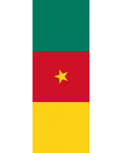 Bandiera: Camerun |  bandiera ritratto | 6m² | 400x150cm 