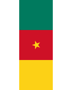 Vertical Hanging Swivel Crossbar Banner Flag: Cameroon |  portrait flag | 6m² | 64sqft | 400x150cm | 13x5ft 