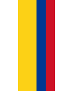 Bandera: Bandera vertical con potencia Colombia |  bandera vertical | 3.5m² | 300x120cm 