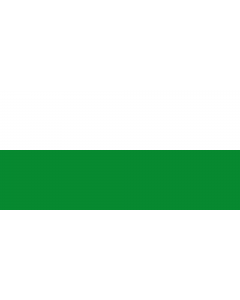 Flag: Municipal flag of Agustín Codazzi |  landscape flag | 1.35m² | 14.5sqft | 80x160cm | 30x60inch 