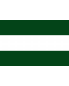 Flag: Arbeláez  Cundinamarca | Municipio de Arbeláez  Cundinamarca |  landscape flag | 1.35m² | 14.5sqft | 90x150cm | 3x5ft 
