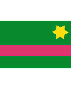 Flag: Baranoa  Atlántico | Municipio de Baranoa  Atlántico |  landscape flag | 2.16m² | 23sqft | 120x180cm | 4x6ft 