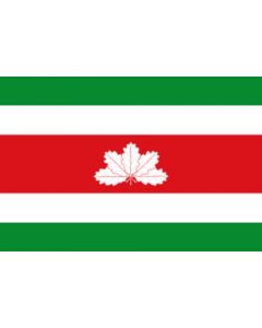 Flag: Boyacá |  landscape flag | 1.35m² | 14.5sqft | 90x150cm | 3x5ft 