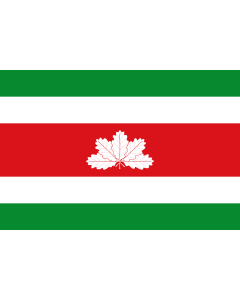 Flag: Boyacá department, Colombia |  landscape flag | 1.35m² | 14.5sqft | 90x150cm | 3x5ft 