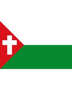 Flag: Campo de La Cruz  Atlántico | Municipio de Campo de La Cruz  Atlántico |  landscape flag | 2.16m² | 23sqft | 120x180cm | 4x6ft 