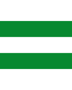 Flag: Cesar, Colombia |  landscape flag | 2.16m² | 23sqft | 120x180cm | 4x6ft 