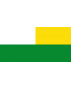 Flag: El Espinal  Tolima | Municipio de El Espinal  Tolima |  landscape flag | 2.16m² | 23sqft | 100x200cm | 40x80inch 