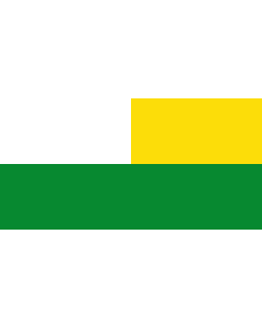 Flagge: Large El Espinal  Tolima | Municipio de El Espinal  Tolima  |  Querformat Fahne | 1.35m² | 80x160cm 