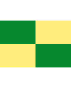 Flag: El Piñón  Magdalena | Municipio de El Piñón  Magdalena |  landscape flag | 2.16m² | 23sqft | 120x180cm | 4x6ft 