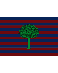 Flag: Floresta  Boyacá | Municipio de Floresta  Boyacá |  landscape flag | 1.35m² | 14.5sqft | 90x150cm | 3x5ft 